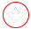Canadian Leaf
